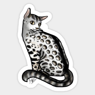 Cat - Bengal Cat - Snow Sticker